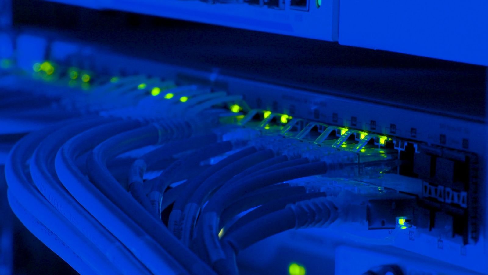 Network switch with illuminated ports carrying voice traffic